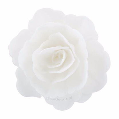 Obrazek RÓŻA CHIŃSKA ŚREDNIA BIAŁA 200118 ROSE DECOR