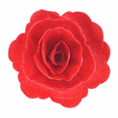 Obrazek RÓŻA CHIŃSKA ŚREDNIA CZERWONA 200218 ROSE DECOR