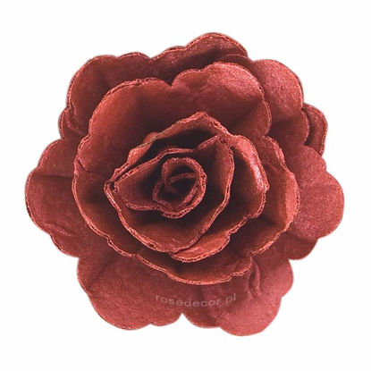 Obrazek RÓŻA CHIŃSKA ŚREDNIA BURGUND 201918 ROSE DECOR