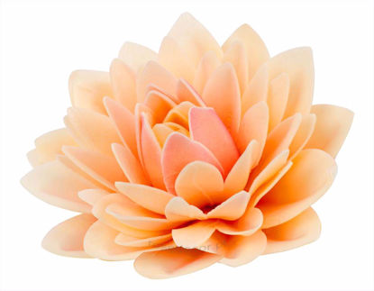 Obrazek DALIA PUDROWA 476201 ROSE DECOR 2